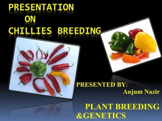 PRESENTATION
ON
CHILLIES BREEDING
PRESENTED BY:
Anjum Nazir
PLANT BREEDING
&GENETICS
 