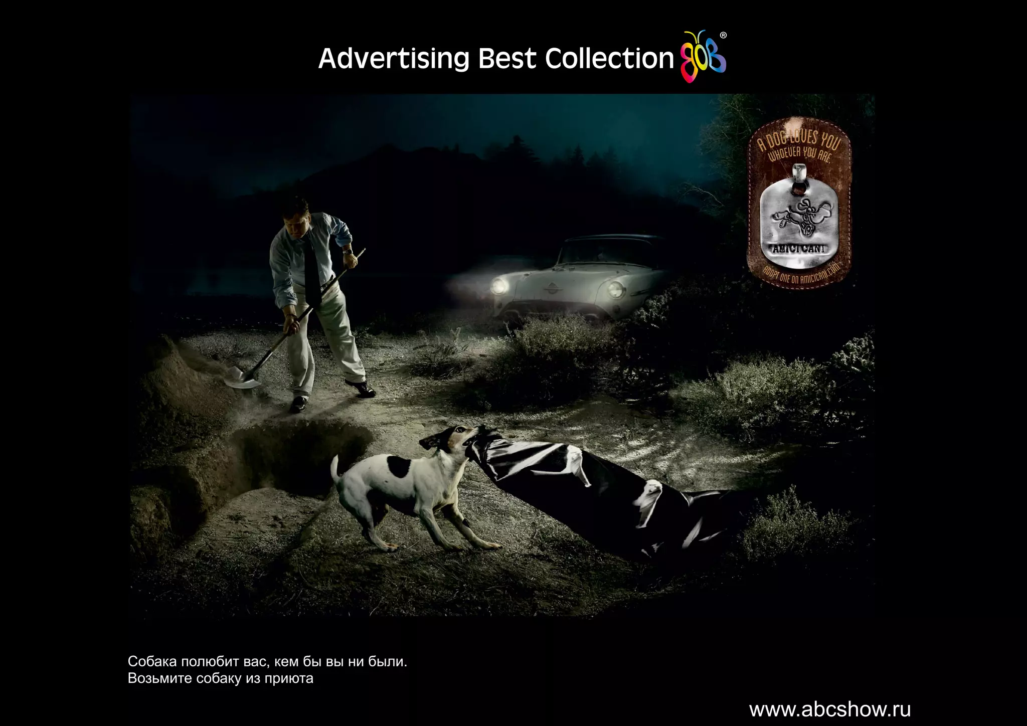 Собака полюбит вас, кем бы вы ни были.
Возьмите собаку из приюта
www.abcshow.ru
 