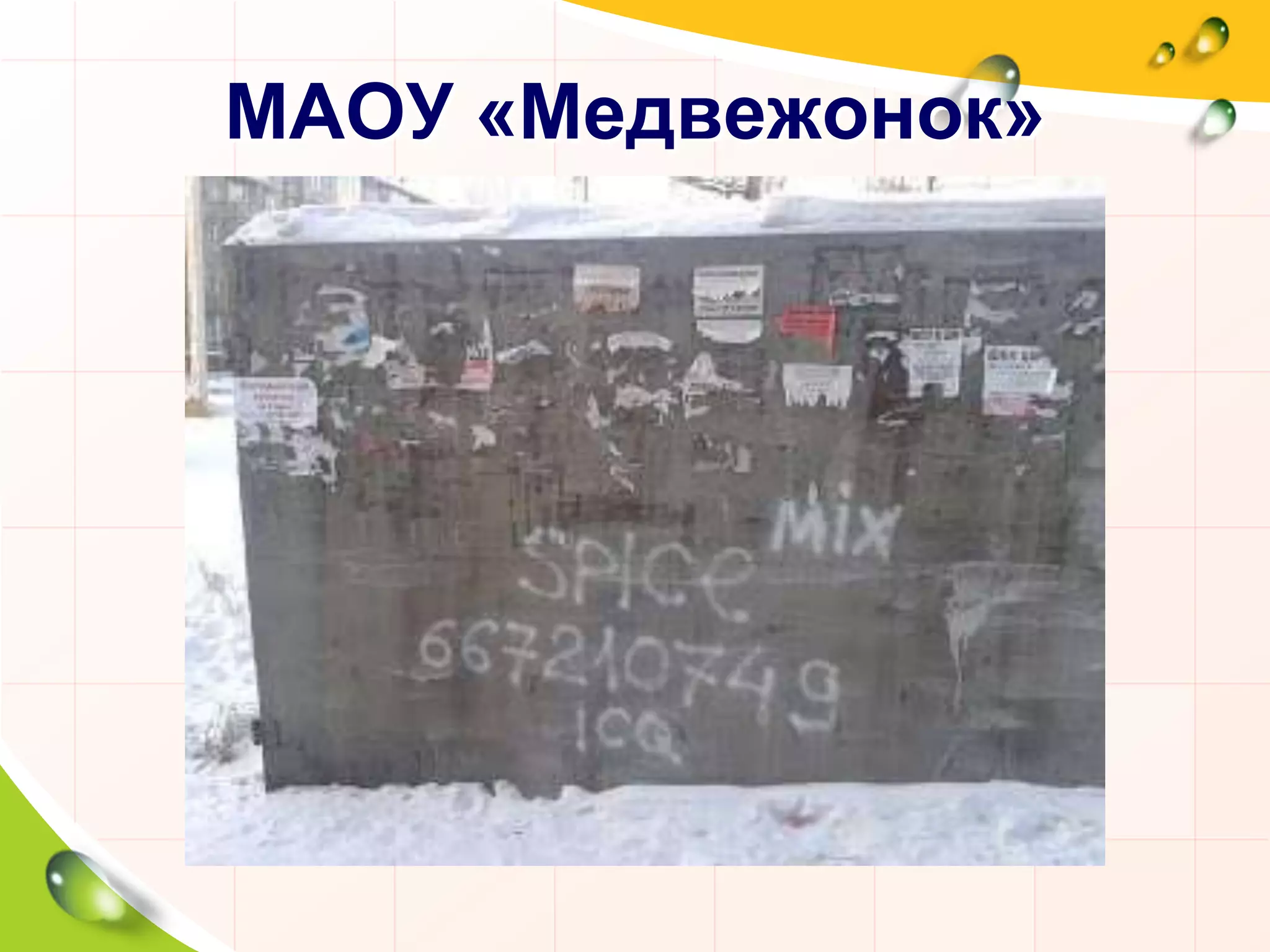 МАОУ «Медвежонок»
 