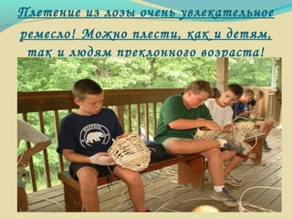 Плетение из лозы очень увлекательное
ремесло! Можно плести, как и детям,
так и людям преклонного возраста!
 