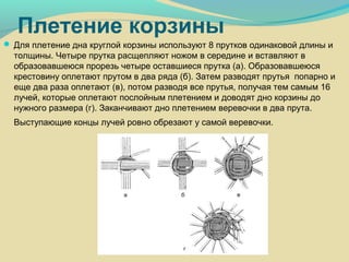 Плетение корзины
 Для плетение дна круглой корзины используют 8 прутков одинаковой длины и
толщины. Четыре прутка расщепляют ножом в середине и вставляют в
образовавшеюся прорезь четыре оставшиеся прутка (а). Образовавшеюся
крестовину оплетают прутом в два ряда (б). Затем разводят прутья попарно и
еще два раза оплетают (в), потом разводя все прутья, получая тем самым 16
лучей, которые оплетают послойным плетением и доводят дно корзины до
нужного размера (г). Заканчивают дно плетением веревочки в два прута.
Выступающие концы лучей ровно обрезают у самой веревочки.
 
