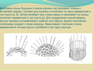 Комлевые концы будущих стояков корзины застрагивают ножом и
вставляют рядом с лучами дна корзины и оплетают по кругу веревочкой в
три прута (а, б). Затем загибают все стояки вверх и связывают их концы,
оплетают веревочкой в три прута (в). Для подержания нужной формы
внутрь корзины устанавливают шаблон или обручи. Далее послойным
плетением создают стенки корзины. Заканчивают плетение стенок
веревочкой в четыре прута и загибкой в три пары прутьев.
 