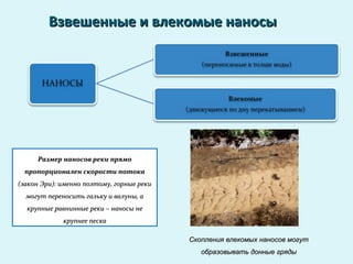 Взвешенные и влекомые наносыВзвешенные и влекомые наносы
Скопления влекомых наносов могутСкопления влекомых наносов могут
образовывать донные грядыобразовывать донные гряды
Размер наносов реки прямоРазмер наносов реки прямо
пропорционален скорости потокапропорционален скорости потока
(закон Эри): именно поэтому, горные реки(закон Эри): именно поэтому, горные реки
могут переносить гальку и валуны, амогут переносить гальку и валуны, а
крупные равнинные реки – наносы некрупные равнинные реки – наносы не
крупнее пескакрупнее песка
 