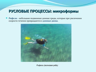 РУСЛОВЫЕ ПРОЦЕССЫ: микроформыРУСЛОВЫЕ ПРОЦЕССЫ: микроформы
 Рифели – небольшие подвижные донные гряды, которые при увеличении
скорости течения превращаются в донные дюны.
Рифели (волновая рябь)Рифели (волновая рябь)
 