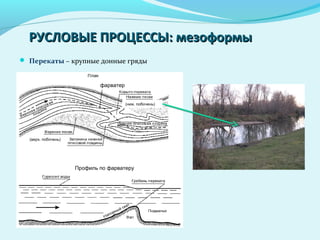 РУСЛОВЫЕ ПРОЦЕССЫ: мезоформыРУСЛОВЫЕ ПРОЦЕССЫ: мезоформы
 Перекаты – крупные донные гряды
фарватер
Профиль по фарватеру
(верх. побочень)
(ниж. побочень)
 