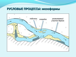 побоченьпобочень осередокосередок размываемыйразмываемый
участок берегаучасток берега
РУСЛОВЫЕ ПРОЦЕССЫ: мезоформыРУСЛОВЫЕ ПРОЦЕССЫ: мезоформы
 