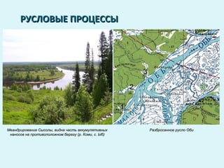 РУСЛОВЫЕ ПРОЦЕССЫРУСЛОВЫЕ ПРОЦЕССЫ
Меандрирование Сысолы, видна часть аккумулятивныхМеандрирование Сысолы, видна часть аккумулятивных
наносов на противоположном берегу (р. Коми, с. Ыб)наносов на противоположном берегу (р. Коми, с. Ыб)
Разбросанное русло ОбиРазбросанное русло Оби
 