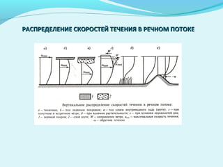 РАСПРЕДЕЛЕНИЕ СКОРОСТЕЙ ТЕЧЕНИЯ В РЕЧНОМ ПОТОКЕРАСПРЕДЕЛЕНИЕ СКОРОСТЕЙ ТЕЧЕНИЯ В РЕЧНОМ ПОТОКЕ
 