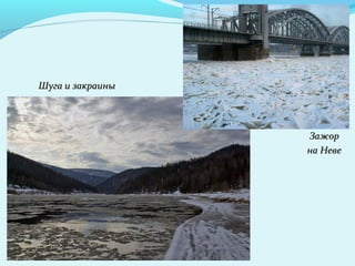Шуга и закраиныШуга и закраины
ЗажорЗажор
на Невена Неве
 
