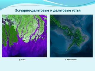 р. Миссисипир. Миссисипир. Гангр. Ганг
 