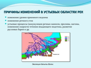 ПРИЧИНЫ ИЗМЕНЕНИЙ В УСТЬЕВЫХ ОБЛАСТЯХ РЕКПРИЧИНЫ ИЗМЕНЕНИЙ В УСТЬЕВЫХ ОБЛАСТЯХ РЕК
 изменение уровня приемного водоема
 изменение речного сток
 устьевые процессы (аккумуляция речных наносов, приливы, нагоны,
изменение скорости течения впадающего водотока, развитие
русловых баров и др.
Эволюция дельты ВолгиЭволюция дельты Волги
 