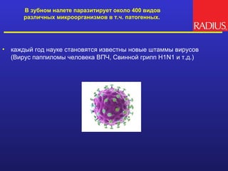 В зубном налете паразитирует около 400 видов
       различных микроорганизмов в т.ч. патогенных.




•   каждый год науке становятся известны новые штаммы вирусов
    (Вирус паппиломы человека ВПЧ, Свинной грипп Н1N1 и т.д.)
 