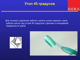 Угол 45 градусов



Для лучшего удаления зубного налета нужно держать свою
зубную щетку под углом 45 градусов к деснам и очищаемой
поверхности зубов
 
