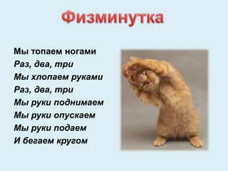 Prezentatsiya Zhivotnye | PPT