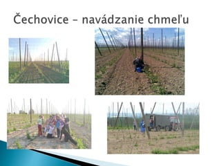 Prezentácia agropodnikanie-agroturistika