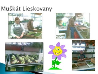 Prezentácia agropodnikanie-agroturistika