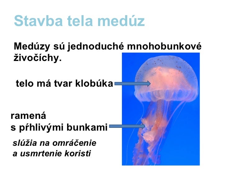 morské online dating datovania a manželstvo v Ekvádore