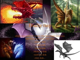 Dragon Rakis Dragons/Draky | PPT