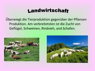 Űberwiegt die Tierproduktion gegenüber der Pflanzen
Produktion. Am verbreitetsten ist die Zucht von
Geflügel, Schweinen, Rindvieh, and Schafen.
 
