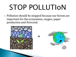 STOP POLLUTIoN


Pollution should be stopped because our forests are
important for the ecosystems, oxygen, paper
production and firewood.



 