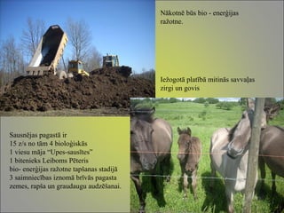 Iežogotā platībā mitinās savvaļas zirgi un govis Nākotnē būs bio - enerģijas ražotne.  Sausnējas pagastā ir 15 z/s no tām 4 bioloģiskās 1 viesu māja “Upes-sausītes” 1 bitenieks Leiboms Pēteris bio- enerģijas ražotne tapšanas stadijā 3 saimniecības iznomā brīvās pagasta zemes, rapša un graudaugu audzēšanai.  