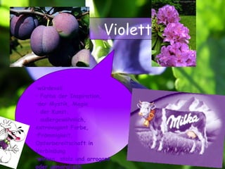 würdevoll Farbe der Inspiration,  der Mystik, Magie  der Kunst.  außergewöhnlich, extravagant Farbe,  Frömmigkeit, Opferbereitschaft in Verbindung  wirken.   stolz und arrogant oder unmoralisch Violett 