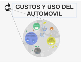 Encuesta de Gusto y Uso del Automovil