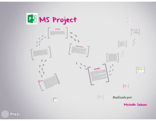 MS Project 