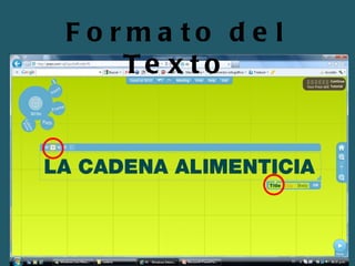 Formato del Texto 