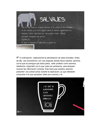 4º A continuación, explicaremos la alimentación de estos animales. Antes
de ello, nos encontramos con una pregunta abierta hacia nuestros alumnos,
con la que se persigue que todos juntos, tanto profesor como alumnos,
intentemos responder con lo que cada uno pensamos, para después
conocer las información correcta. Esto hace que nuestros alumnos
presenten una actitud activa durante la explicación, ya que intentarán
comprobar si lo que pensaban antes era correcto o no.
 