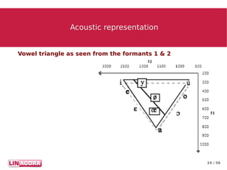 24 / 56
Acoustic representationAcoustic representation
Vowel triangle as seen from the formants 1 & 2
 