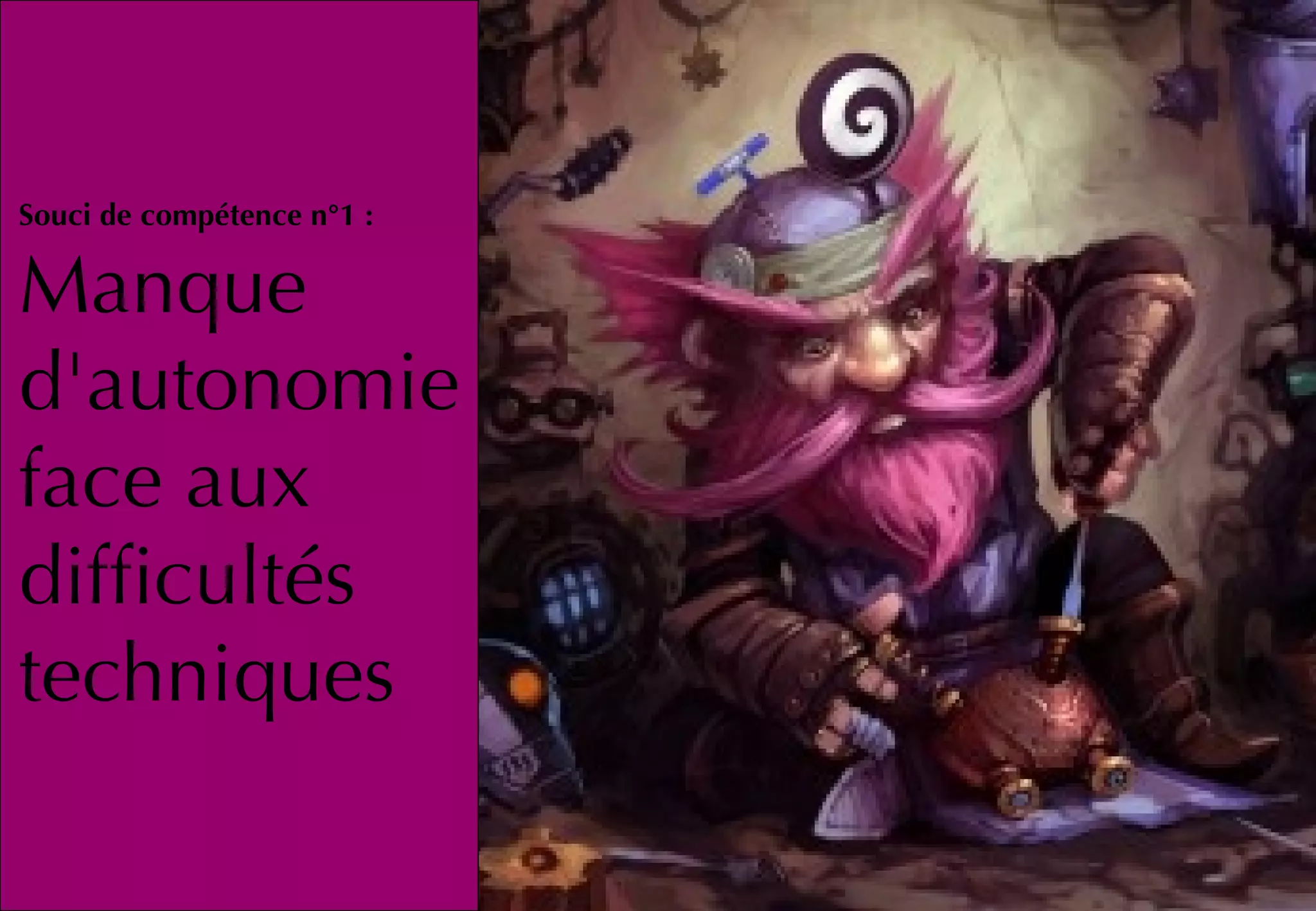 Un problème de compétences
Souci de compétence n°1 :
Manque
d'autonomie
face aux
difficultés
techniques
 