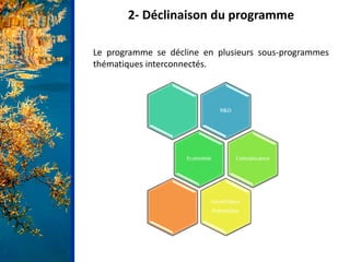 2- Déclinaison du programme
Le programme se décline en plusieurs sous-programmes
thématiques interconnectés.
 