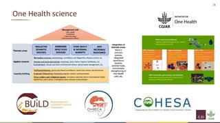 The context surrounding the emergence of infectious diseases and the need to foster multilateral collaboration to implement prevention strategies
