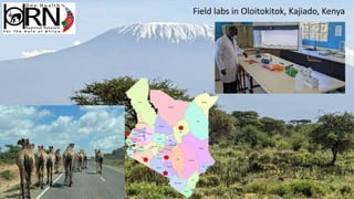 The context surrounding the emergence of infectious diseases and the need to foster multilateral collaboration to implement prevention strategies