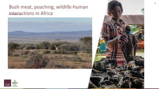 The context surrounding the emergence of infectious diseases and the need to foster multilateral collaboration to implement prevention strategies