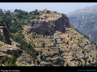Crédits photos: christianmeichtry
Paysage de montagne