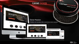 Caviar Passion
Création du nouveau site e-commerce de la marque
 