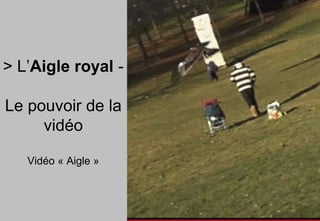 > L’Aigle royal -
Le pouvoir de la
vidéo
Vidéo « Aigle »
 