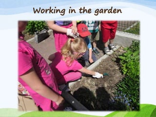 Working in the garden
 