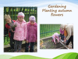 Gardening 
Planting autumn 
flowers 
 