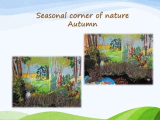 Seasonal corner of nature 
Autumn 
 