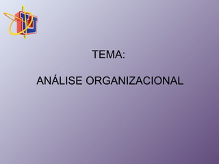 TEMA: 
ANÁLISE ORGANIZACIONAL 
 