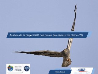 www.lisea.fr
Analyse de la disponibilité des proies des oiseaux de plaine (79)
www.lisea.fr
 