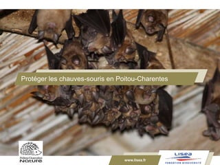 www.lisea.fr
Protéger les chauves-souris en Poitou-Charentes
www.lisea.fr
 