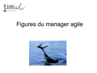 Figures du manager agile
 