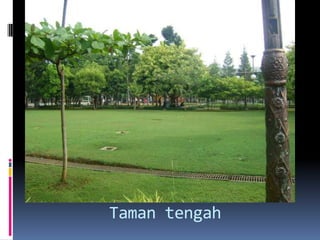 Taman tengah
 