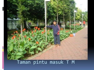 Taman pintu masuk T M
 