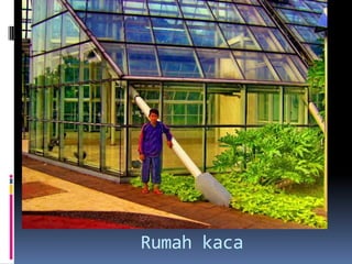 Rumah kaca
 