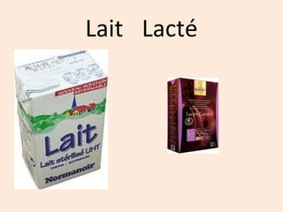 Lait Lacté
 